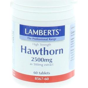 Lamberts Crataegus 2500mg (hawthorn)  60 tabletten