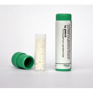 Homeoden Heel Ledum palustre 10MK  1 gram