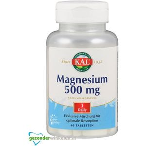 Kal magnesium 500mg tabletten  60ST