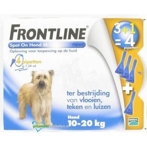 Frontline spot-on hond m  4ST