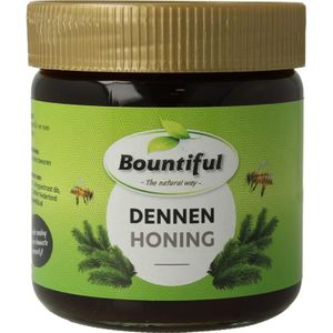 Bountiful Dennen honing  500 Gram