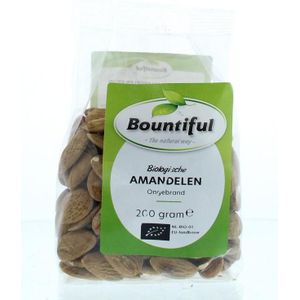 Bountiful Amandelen ongebrand bio  200 gram