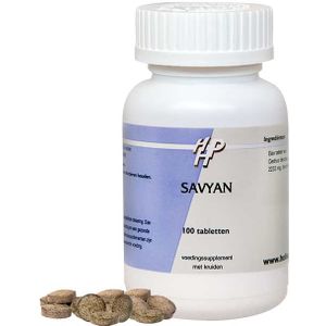 Ayurveda Savyan  100 tabletten