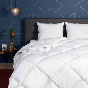 Dekbed Dons 80% ganzenveren 4 Seizoenen - 4 seizoenen - 240x220 cm (Lits-Jumeaux) - Presence - 600 gr (390 gr + 210 gr) - Dekbed-Discounter.nl