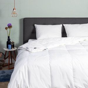 Dekbed Dons 85% eendenveren 4 Seizoenen - 4 seizoenen - 200x200 cm (Tweepersoons) - Presence - 500 gr (200 gr + 300 gr) - Dekbed-Discounter.nl