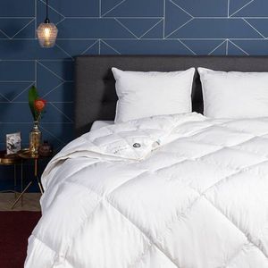 Dekbed Dons 80% ganzenveren 4 Seizoenen - 4 seizoenen - 260x220 cm (Lits-Jumeaux XL) - Presence - 600 gr (390 gr + 210 gr) - Dekbed-Discounter.nl