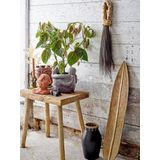 Vaas - Glas - Transparant