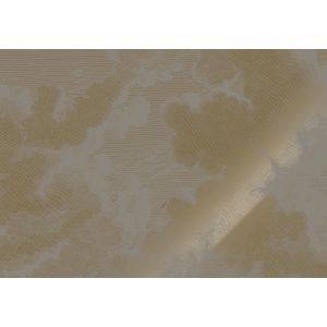 Goud Engraved clouds grijs behang MW-186 - 300x280cm