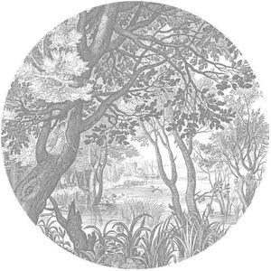 Engraved landscapes cirkelbehang BC-044  - ø237,5 cm