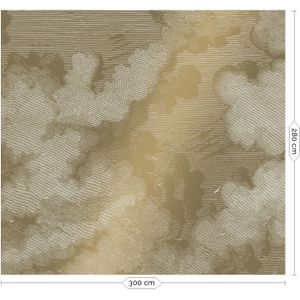 Engraved clouds goud behang MW-011- 300x280cm