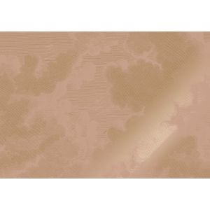 Goud Engraved clouds nude behang MW-184 - 400x280cm