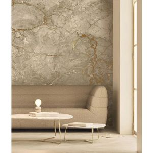 Marmer behang FU-065 - 389,6x280cm goud/beige