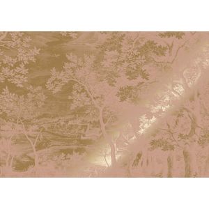 Goud Engraved landschappen behang nude MW-170 200x280cm