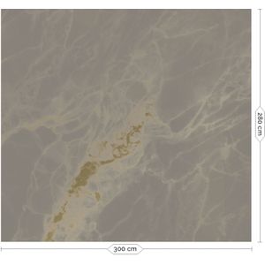 Marble goud behang MW-053- 300x280cm