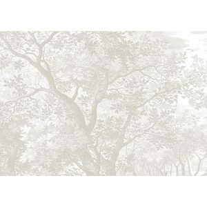 Engraved landschappen behang WP-773 grijs 300x280cm