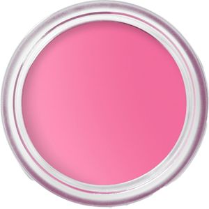 Bobbi Brown Pot Rouge Velvet Matte BLUSH