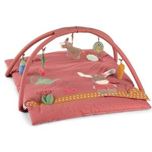 Sterntaler Babygym Emmily