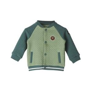 s. Olive r Zweetjas green