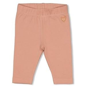 Feetje Little Legging Rozenknopje Roze