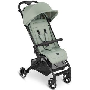 ABC DESIGN Ping Two Pine Sport Buggy 2023 Collectie