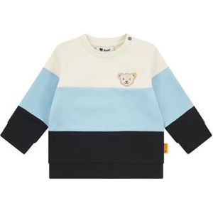 Steiff Sweater - College