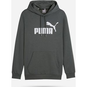 Puma Hoodie Grijs