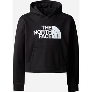 The North Face Drew Peak Light Hoodie Junior