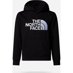 The North Face Drew Peak Hoodie Junior
