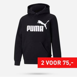 PUMA Essentials Big Logo Hoodie Junior