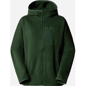 The North Face Front Range Fleece Hoodie