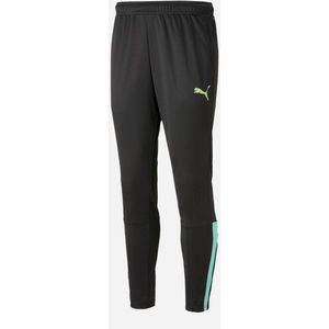 PUMA Teamliga Training Pants