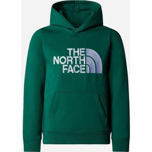 The North Face Drew Peak P/O Casual Sweater Jongens Groen