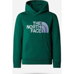 The North Face Drew Peak P/O Hoodie Junior