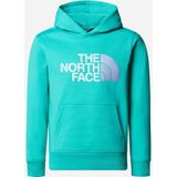 The North Face Drew Peak P/O Hoodie