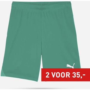 PUMA Teamgoal Shorts Senior