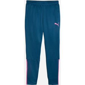 PUMA Teamliga Training Pants Heren