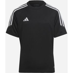 adidas Tiro 23 Club Training Shirt