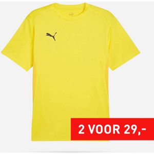 PUMA Teamgoal Shirt Senior