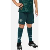 PUMA - Manchester City 25/26 - Voetbalshort - Groen