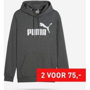 PUMA Essentials Big Logo Hoodie Heren