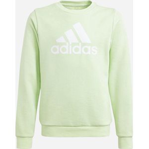 adidas Essentials Big Logo Cotton Sweatshirt