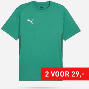 PUMA Teamgoal Shirt Senior