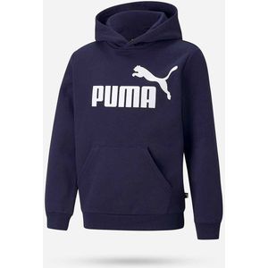 PUMA Essentials Big Logo Hoodie Junior