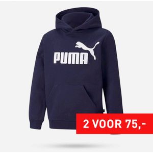 PUMA Essentials Big Logo Hoodie Junior