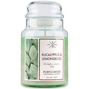 Large jar Eucalyptus lemongrass - 623g - Purple River
