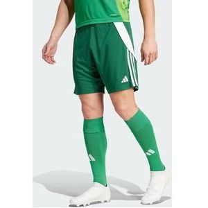 Adidas Tiro 24 Heren Korte Broeken - Groen  - Katoen Canvas - Foot Locker