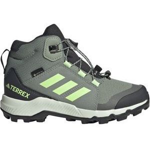 Adidas Terrex Mid Goretex Hiking Shoes Grijs EU 36 2/3