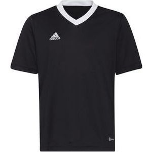 adidas Unisex Kids Ent22 JSY Y Jersey (korte mouw)