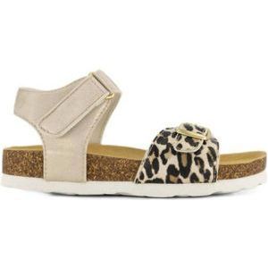 Graceland sandalen met panterprint goud