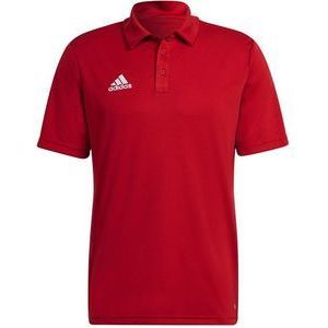 Adidas Entrada 22 Korte Mouw Poloshirt